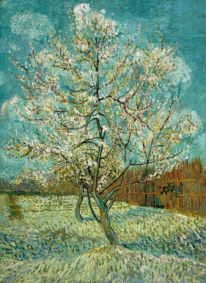  文森特·威廉·梵高  Vincent Willen Van Gogh ——粉色的桃树 1888